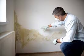 Best Mold Remediation for Healthcare Facilities  in Hampton, AR